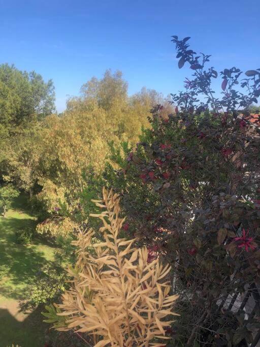 Casa Incantevole Con Vista Parco Appia Antica Ferienhaus *